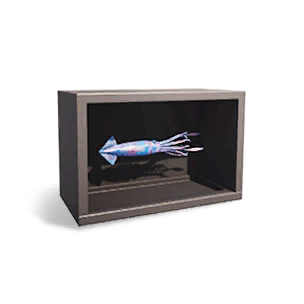 Squid Specimen Ⅱ