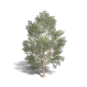 Beech 2 crafting recipe in Once Human