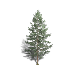 Spruce 3 crafting recipe in Once Human