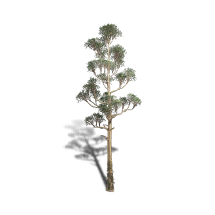 Red Pine 2 crafting recipe in Once Human