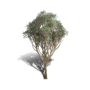 Red Pine 3 crafting recipe in Once Human