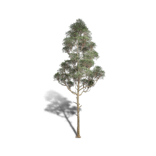 Red Pine 4 crafting recipe in Once Human