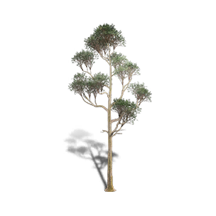 Red Pine 5 crafting recipe in Once Human