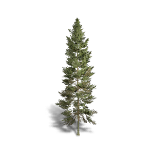 Fir 3 crafting recipe in Once Human