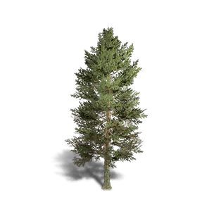 Fir 5 crafting recipe in Once Human