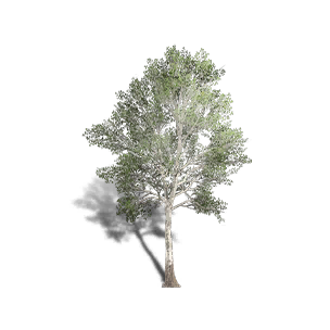 Sycamore 2 crafting recipe in Once Human