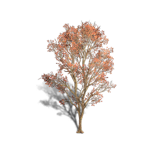 Maple 2 crafting recipe in Once Human