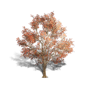 Maple 3 crafting recipe in Once Human