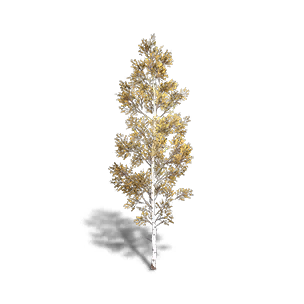 Birch 2 crafting recipe in Once Human