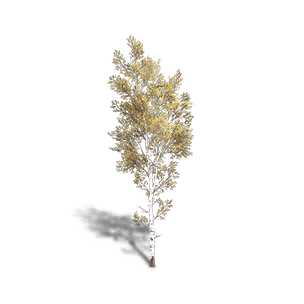 Birch 3 crafting recipe in Once Human