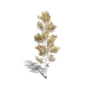 Birch 4 crafting recipe in Once Human