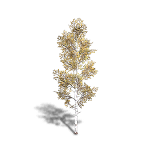 Birch 5 crafting recipe in Once Human