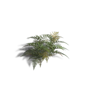Fern 3 crafting recipe in Once Human