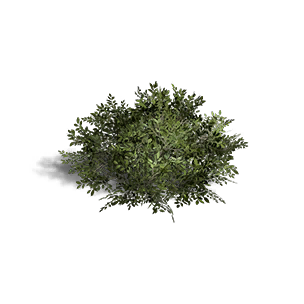 Shrub 1 crafting recipe in Once Human