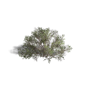 Shrub 3 crafting recipe in Once Human