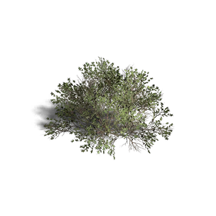 Shrub 4 crafting recipe in Once Human