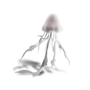 Polar Jelly - Radiant Variant