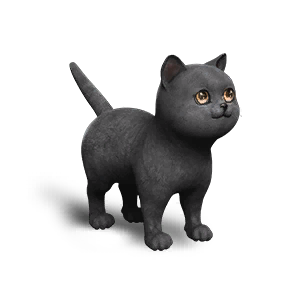 Extradimensional Cat - Gray Satin