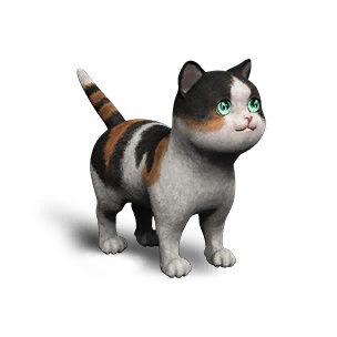 Extradimensional Cat - Hawksbill Turtle