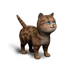 Extradimensional Cat - Gold Leopard