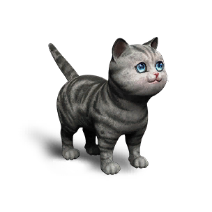 Extradimensional Cat - Silver Tiger