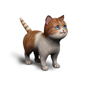 Extradimensional Cat - Snow Gold