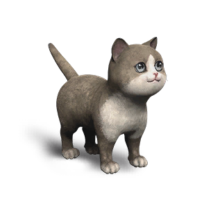 Extradimensional Cat - Dual-color Cream