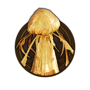Brass Trophy: The Chosen One