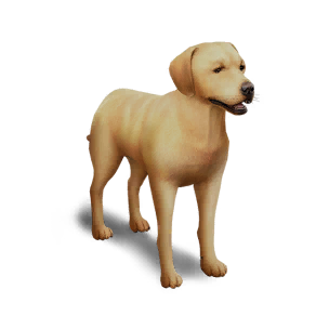 Labrador Territory Deviation in Once Human