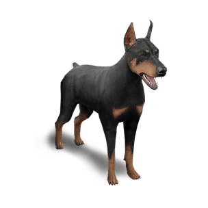 Doberman Territory Deviation in Once Human