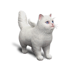 Chaotic Extradimensional Cat Territory Deviation in Once Human
