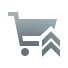 Order Upgrade: Quantity Increase II